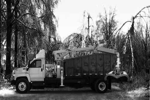 Storm Debris Removal & Large Tree Removal With Petersen Industries