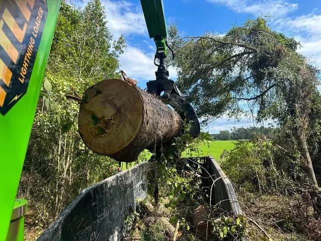 Storm Debris Removal & Large Tree Removal With Petersen Industries